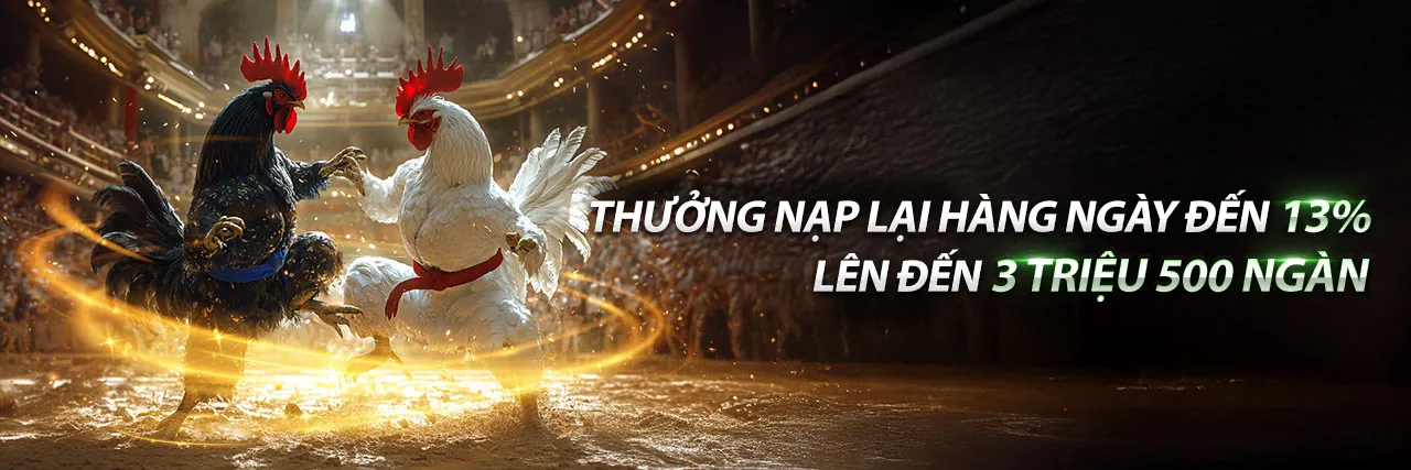 Công cụ marketing và hỗ trợ đối tác
